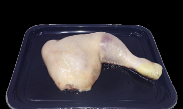 SKIN TECHNOLOGY  | Blog